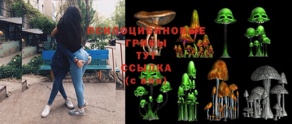 spice Алзамай