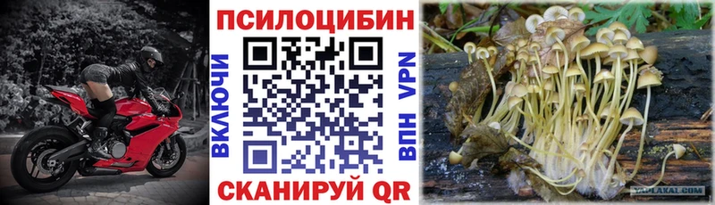Псилоцибиновые грибы прущие грибы  гидра как зайти  Мичуринск 