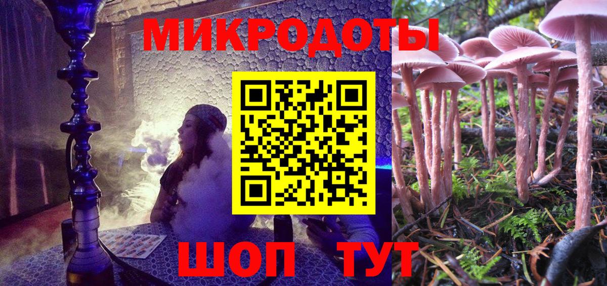 Псилоцибиновые грибы мицелий Мичуринск