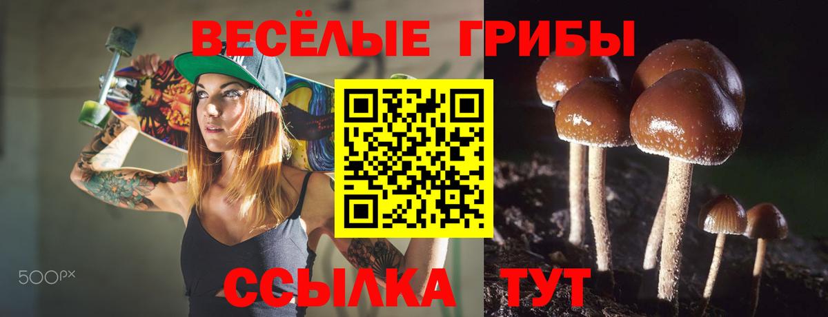 Псилоцибиновые грибы Magic Shrooms  Галлюциногенные грибы мицелий  Мичуринск  Вход с VPN 